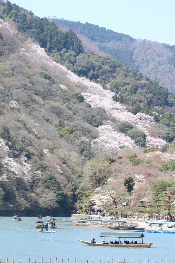 渡月橋風景