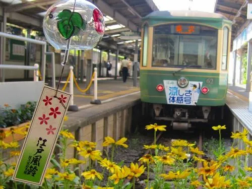 20形