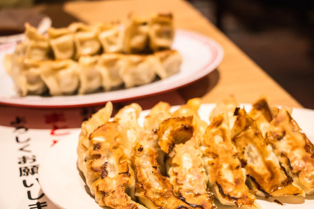宇都宮餃子館の餃子