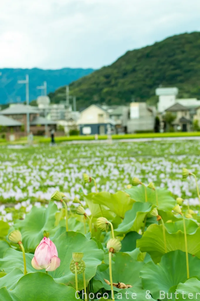 耳成山
