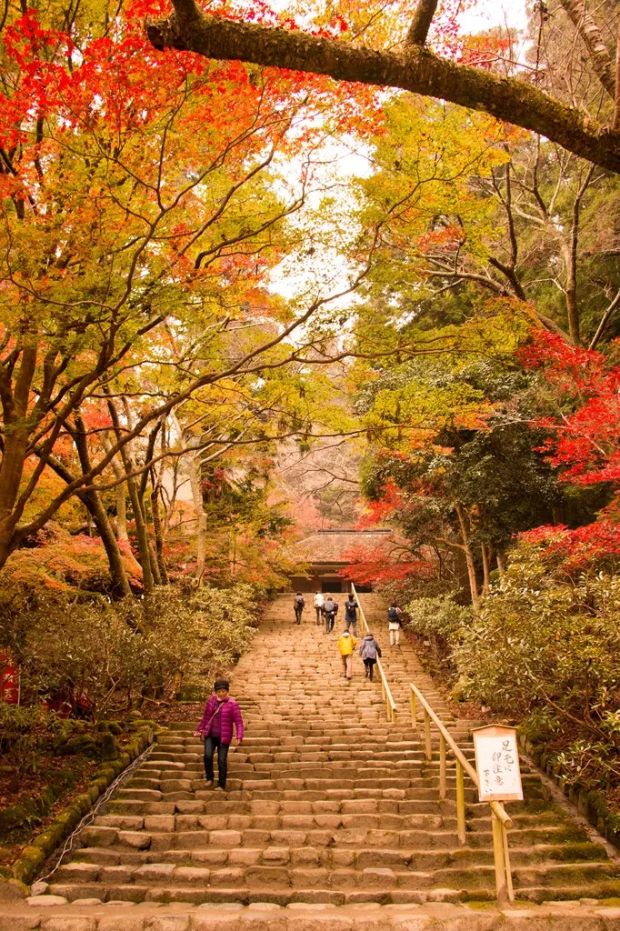紅葉１